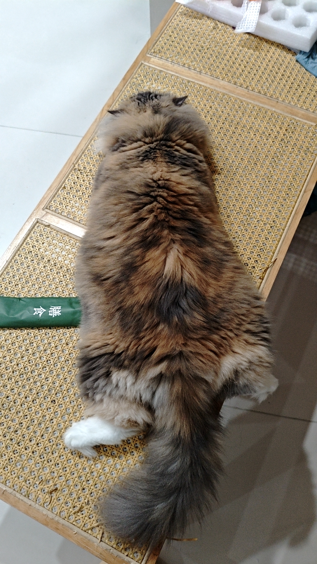 照片