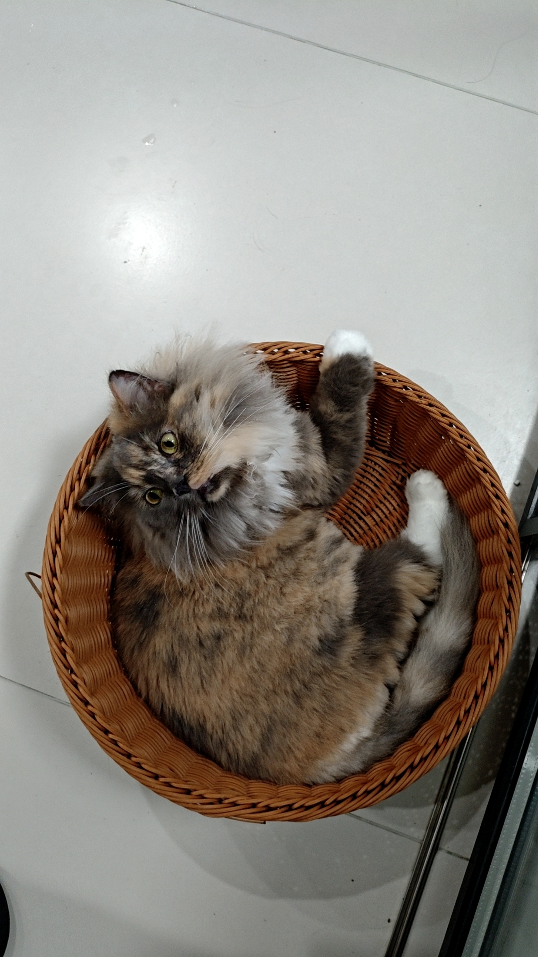 照片