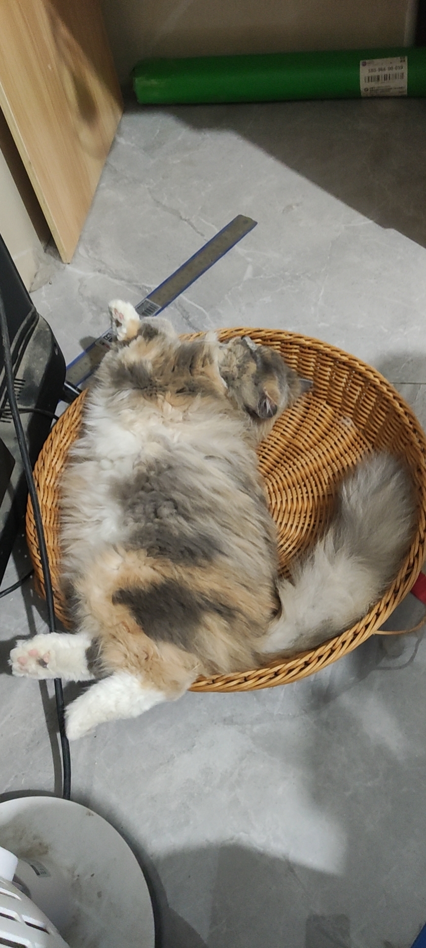 照片
