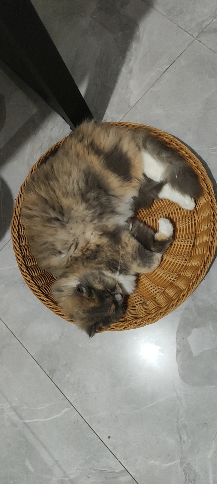 照片