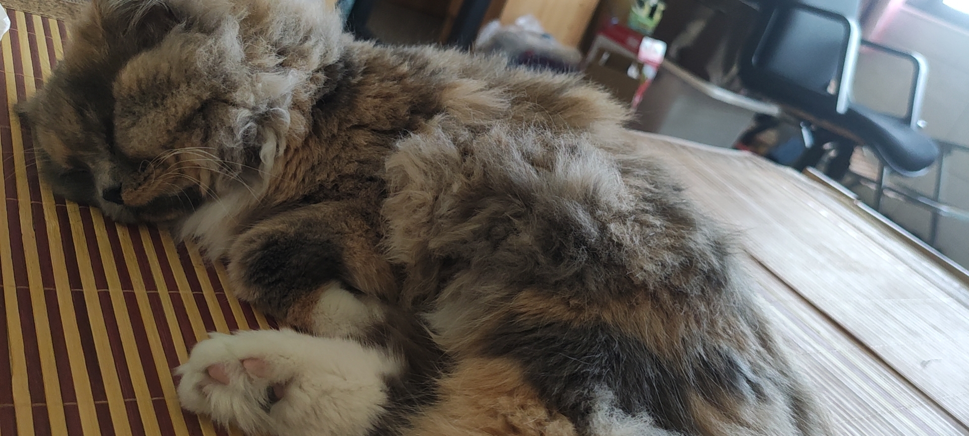 照片