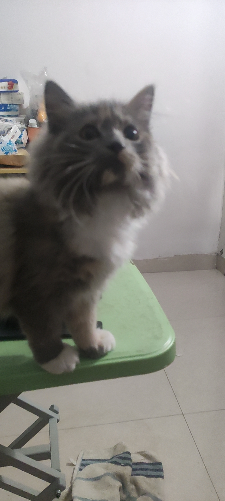 照片