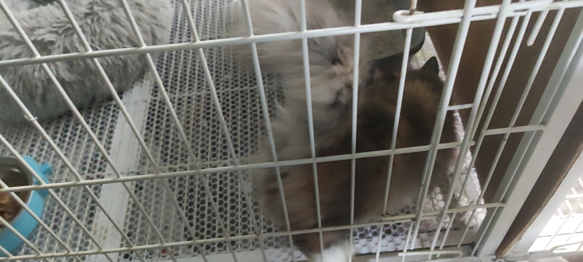 照片