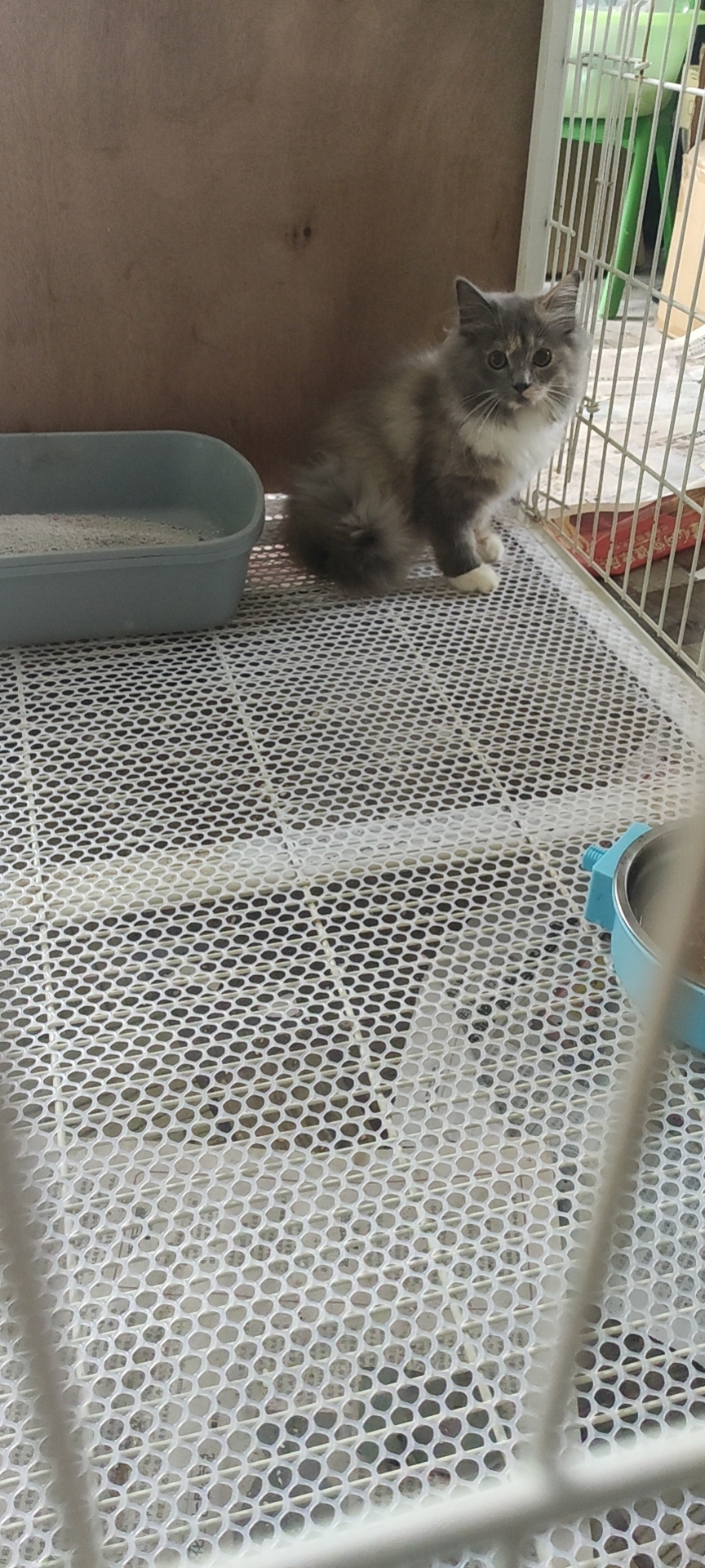 照片