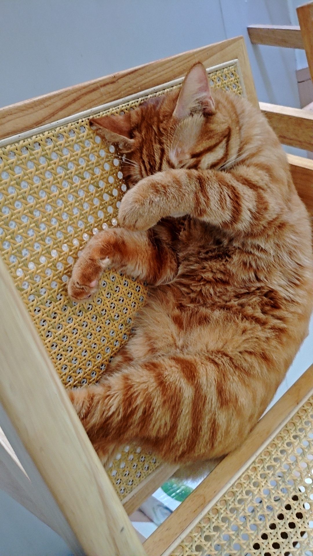 照片