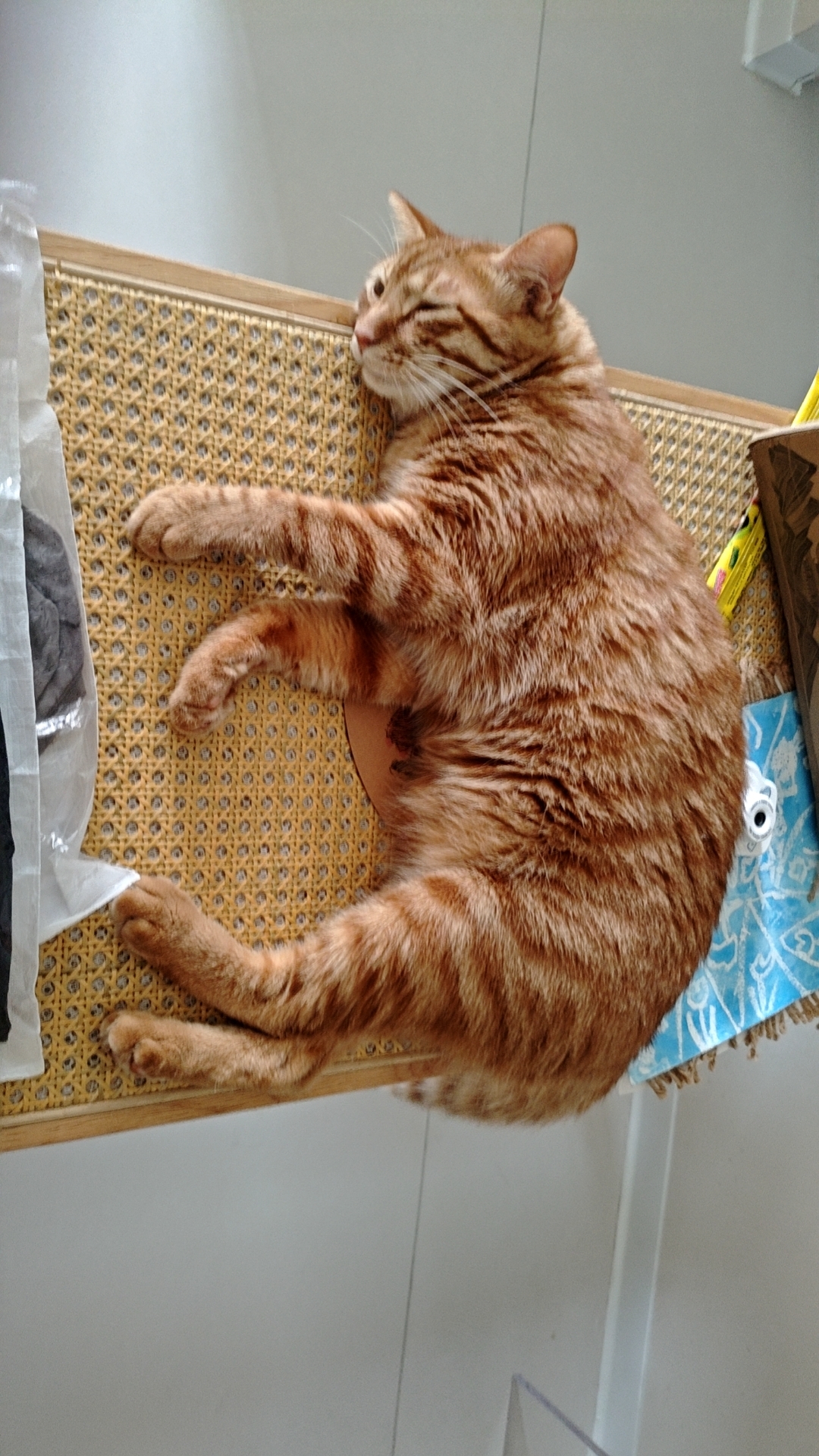 照片