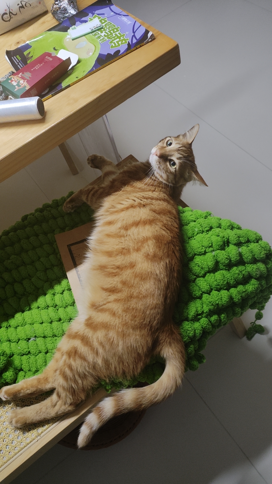 照片
