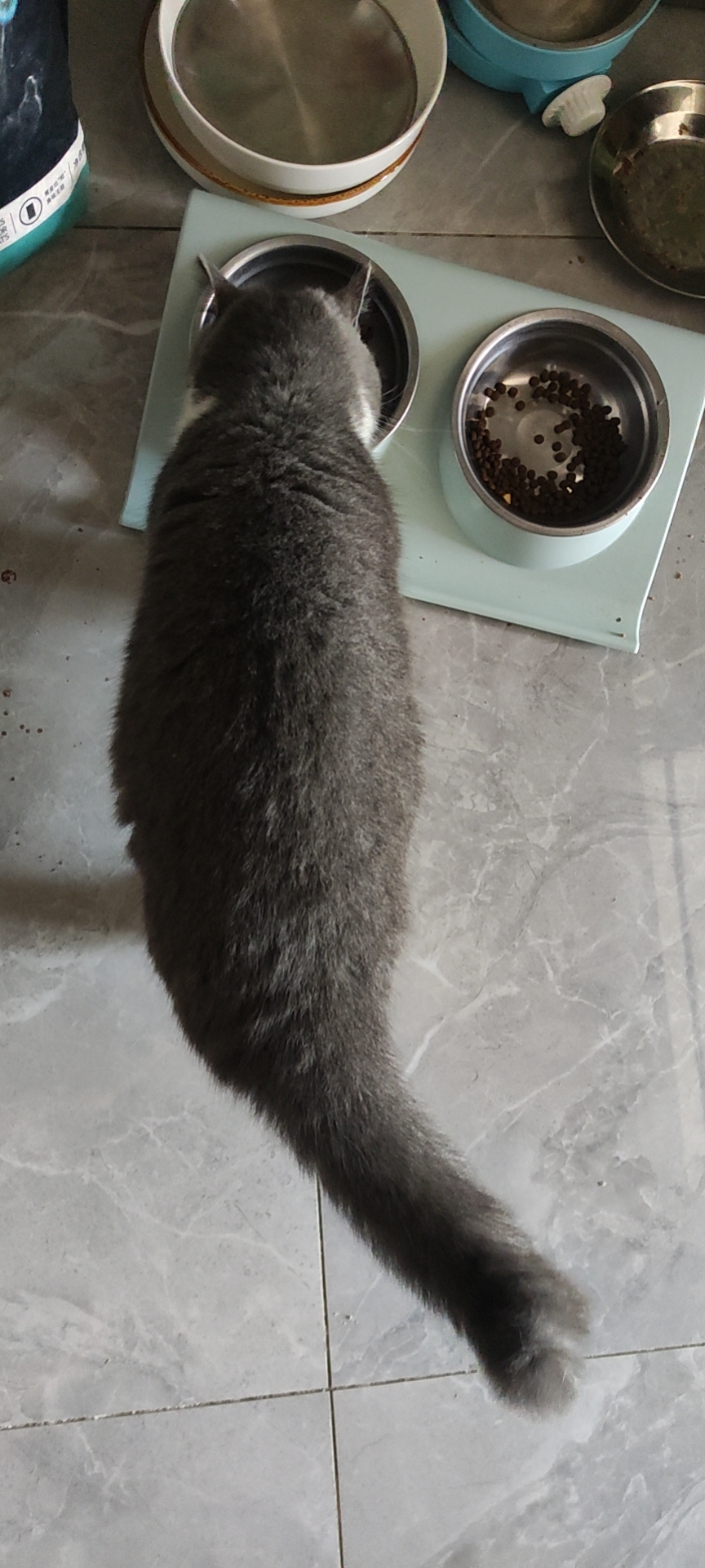 照片