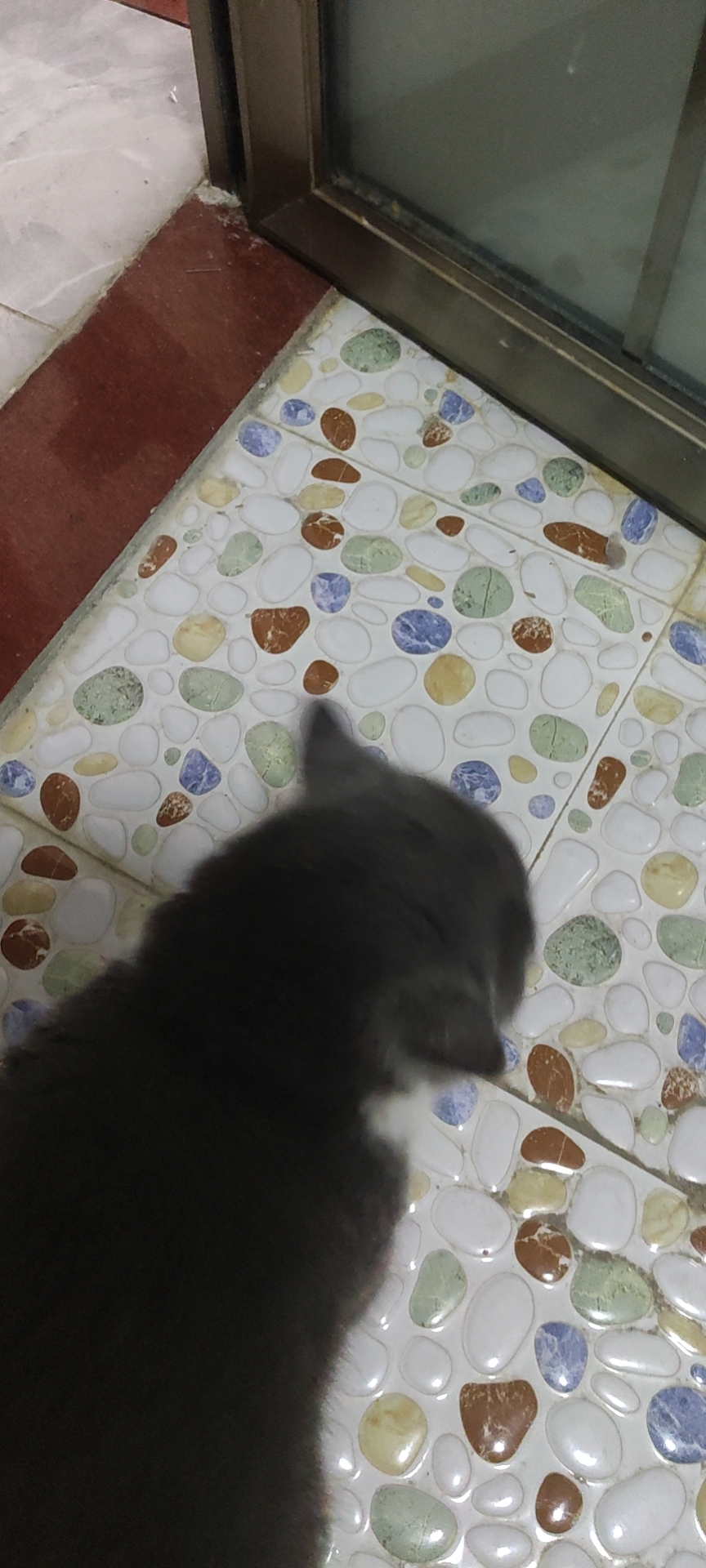 照片