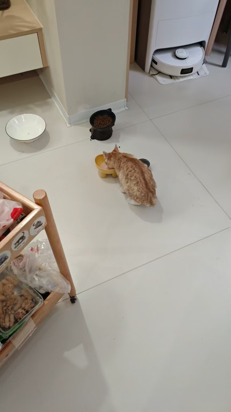 照片